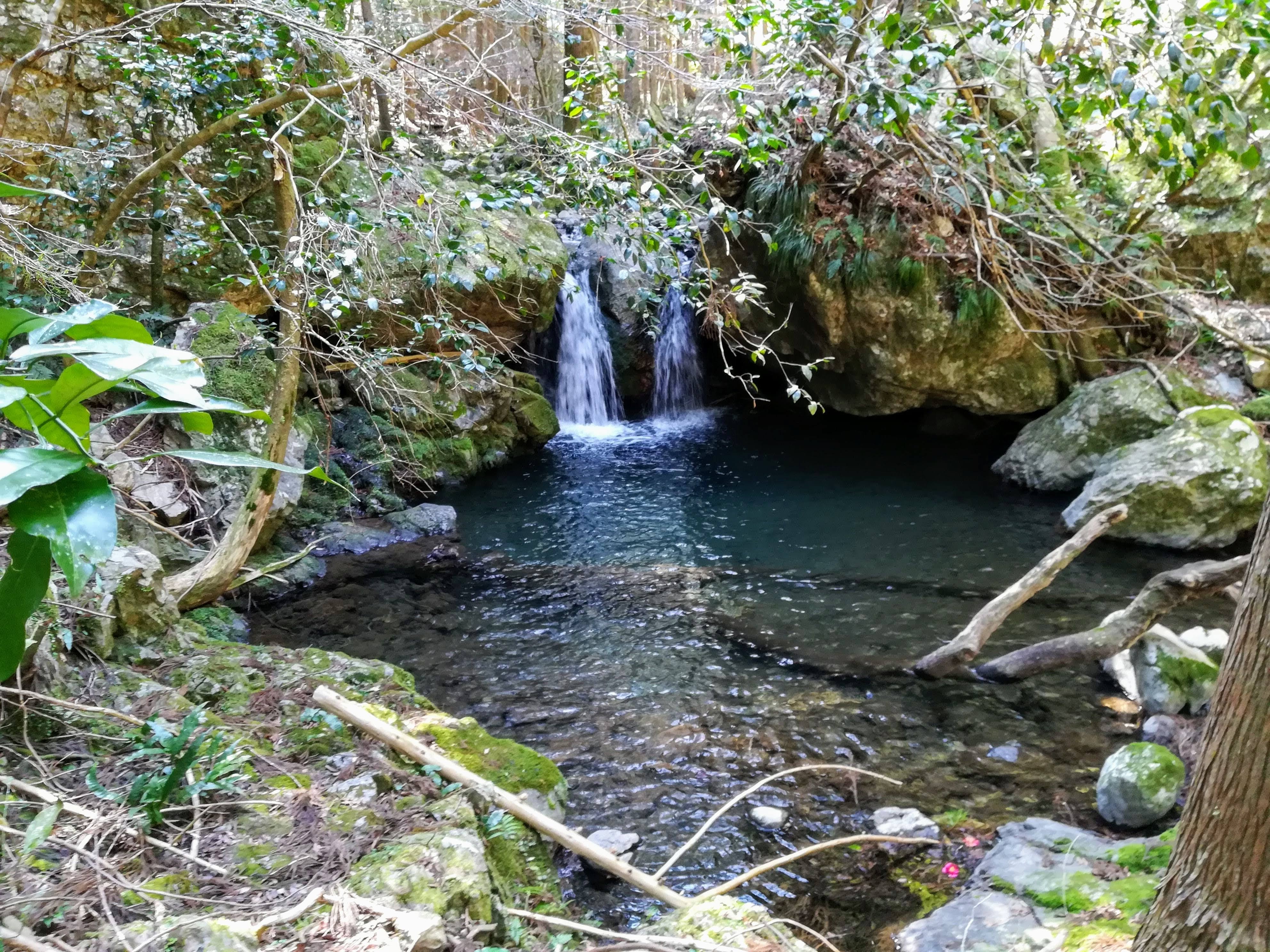 八重谷湧水・湧き水の写真