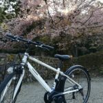 桜サイクリング