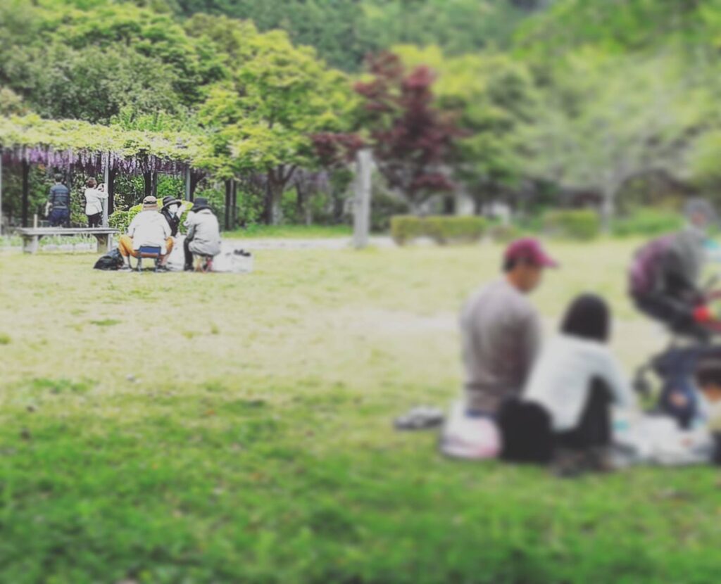 野原公園のピクニック