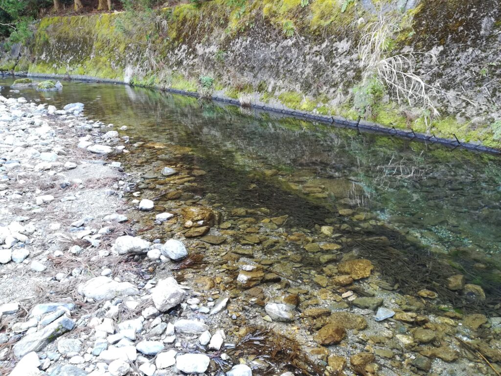 三重県川遊び