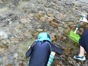 三重の田舎で川遊び、釣竿作り体験・宮川穴場スポット・民泊で家族旅行