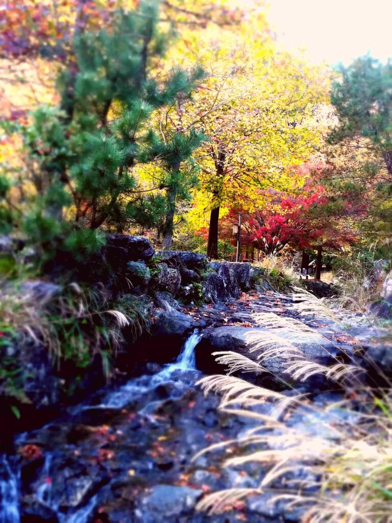 大紀町・笠木渓谷の紅葉