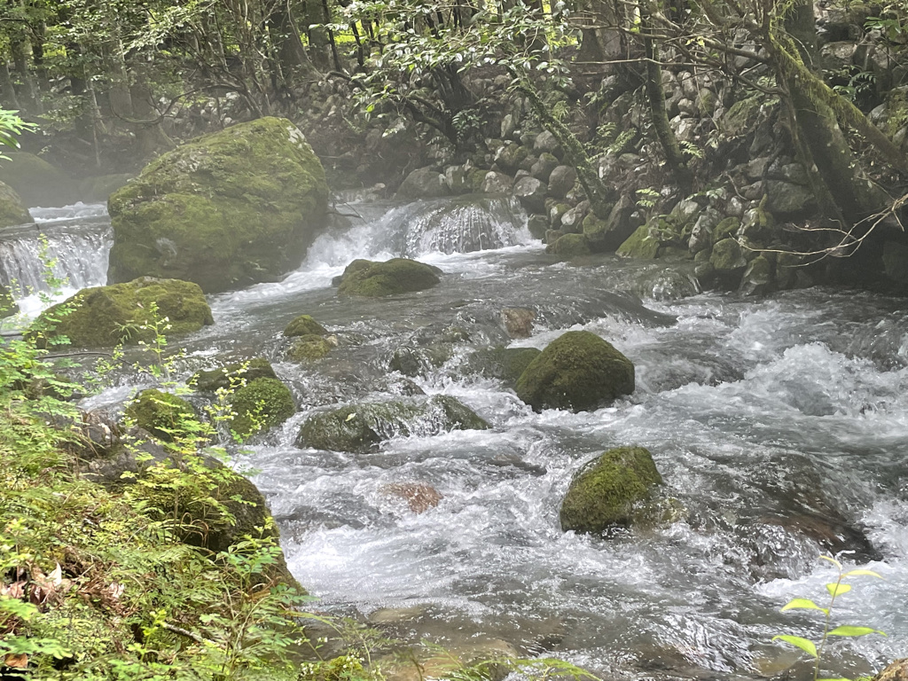 三重の田舎で川遊び