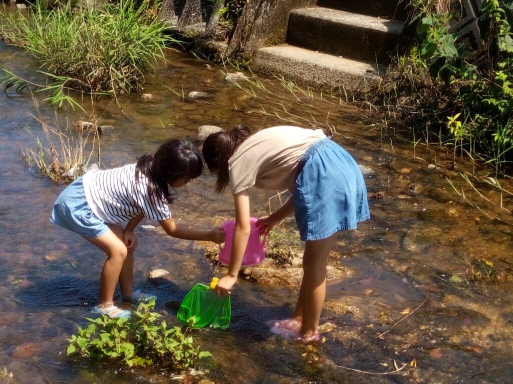 宮川支流の藤川で夏の川遊び・水の生き物観察