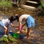 宮川支流の藤川で夏の川遊び・水の生き物観察