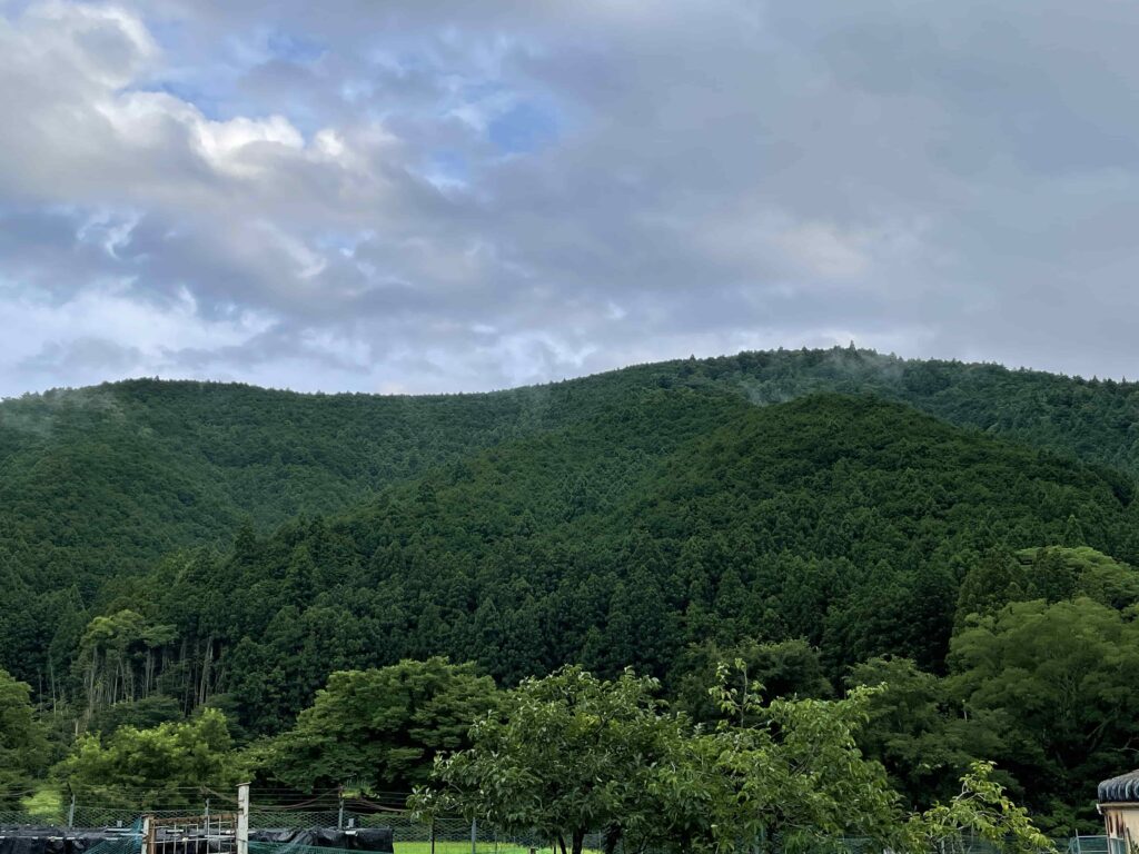 三重県・田舎の一軒家ゲストハウス 民泊三吉「夏の青空」