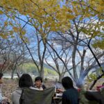 黄葉の下でプランクBBQ