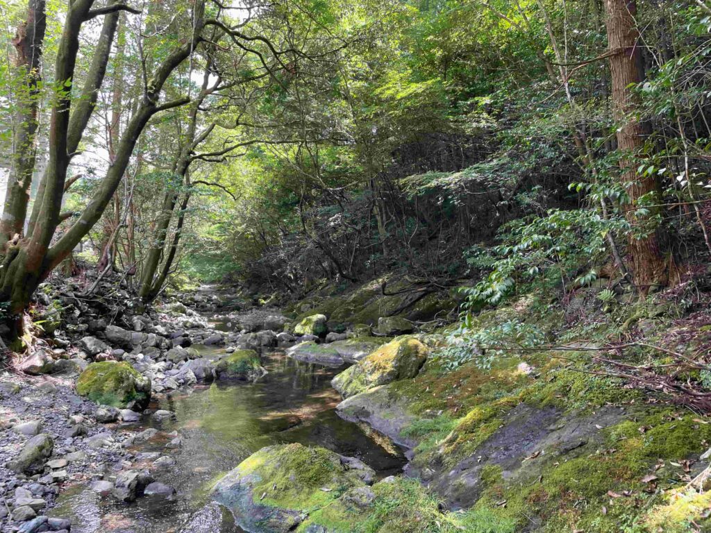 穴場の三重の川＿四季の森キャンプ場