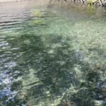 銚子川近くの、清流スポット唐子川