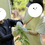 竹竿作りの竹細工