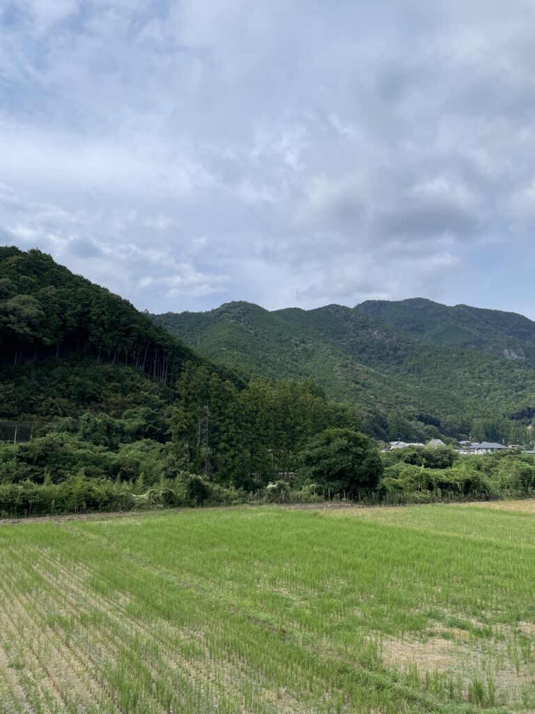 夏に三重の一軒家BBQ場で帰省して同級生友達と穴場日帰り手ぶらBBQ